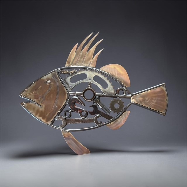 John Dory (Zeus faber)